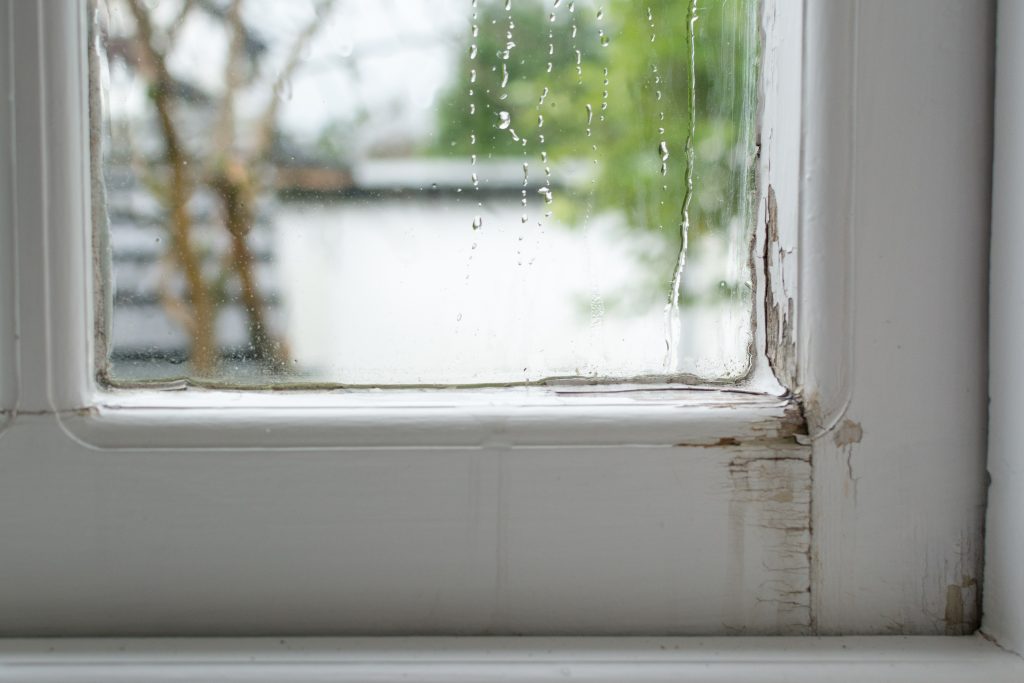 replace your windows