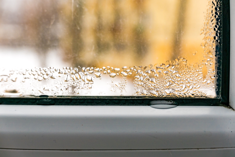 why is there condensation in windows